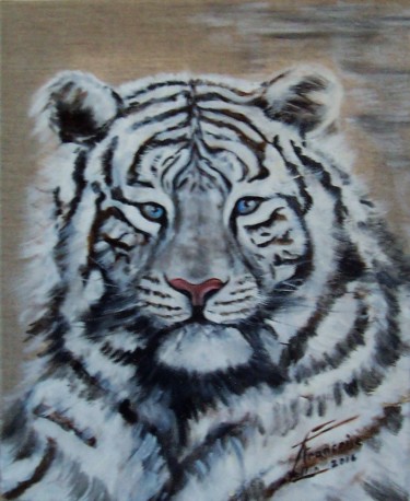 Pittura intitolato "Le tigre blanc de f…" da Françoise Collin, Opera d'arte originale, Olio