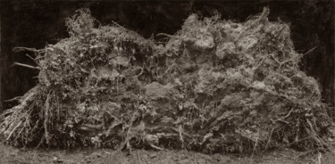 Photographie intitulée "Cœur de forêt III "…" par Jeanpaul Zak, Œuvre d'art originale, Photographie argentique
