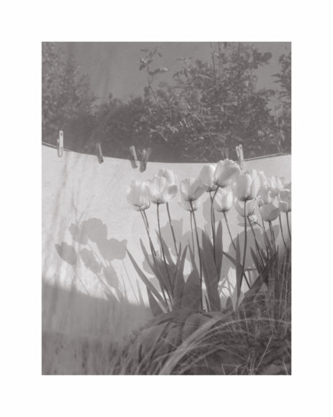 Fotografie getiteld "Tulipes blanches I" door Jeanpaul Zak, Origineel Kunstwerk, Film fotografie