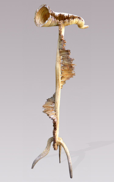Sculptuur getiteld "Vesse #61—Heed" door Jeff Key, Origineel Kunstwerk, Hout