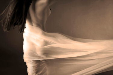 Fotografía titulada "Fleeting" por Jennifer Wright, Obra de arte original, Fotografía digital