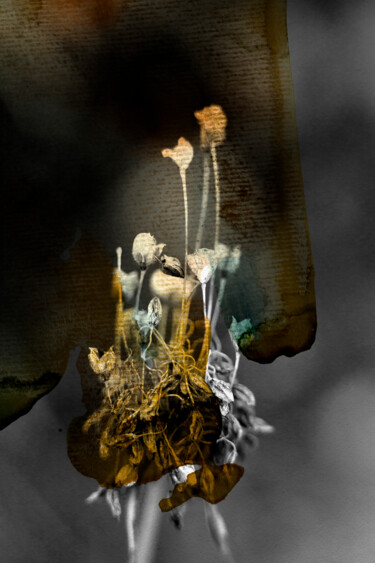 「Annasophia」というタイトルの写真撮影 Jerome Pergolesiによって, オリジナルのアートワーク, デジタル