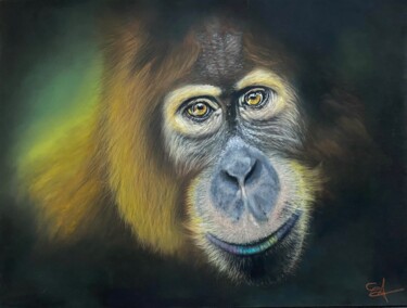 Drawing titled "Orang-outan" by Jess.C.Art, Original Artwork, Pastel Mounted on Glass