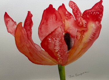 Pintura intitulada "Red Tulip" por Jill Correale Jill Simpson, Obras de arte originais, Aquarela