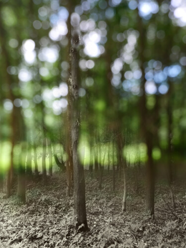 Fotografie mit dem Titel "Omámený velkým množ…" von Jiří Srna, Original-Kunstwerk, Manipulierte Fotografie