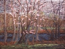 Painting titled "Cherry Tree (pastel)" by Joan Cole, Original Artwork, Oil
