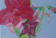 Painting titled "Amaryllis #2" by Joan Cole, Original Artwork, Oil