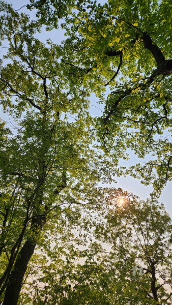 Fotografía titulada "Under the sun" por Joanna Lizbeth, Obra de arte original, Fotografía no manipulada