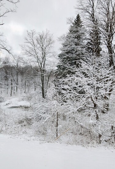 Fotografía titulada "Winter is coming" por Joanna Lizbeth, Obra de arte original, Fotografía no manipulada