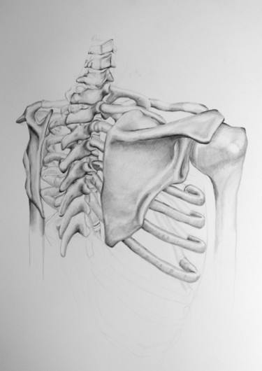 Zeichnungen mit dem Titel "Shoulder study.jpg" von Johann Krammer, Original-Kunstwerk, Bleistift