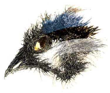 Digital Arts titled "Pandemi bird Estland" by Johann Sidlo, Original Artwork, Digital Painting