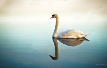 Photographie intitulée "elegance" par John Gerard, Œuvre d'art originale, Photographie numérique