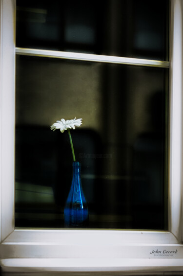 Fotografie getiteld "Blume am Fenster, F…" door John Gerard, Origineel Kunstwerk, Digitale fotografie