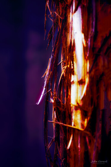 "inneres Licht" başlıklı Dijital Sanat John Gerard tarafından, Orijinal sanat, Dijital Resim