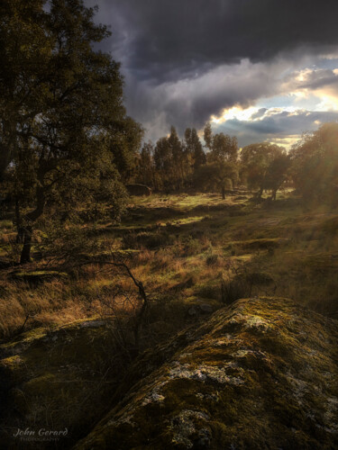 Fotografie mit dem Titel "Morgenstund hat Gol…" von John Gerard, Original-Kunstwerk, Digitale Fotografie