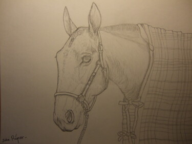 Drawing titled "Timoko, vainqueur d…" by John Regnier, Original Artwork, Pencil Mounted on Glass