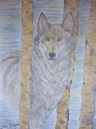 Drawing titled "Loup" by John Regnier, Original Artwork, Pencil