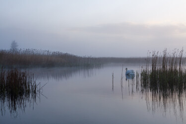 Fotografie mit dem Titel "Morning Lake With S…" von John Furnes, Original-Kunstwerk, Digitale Fotografie