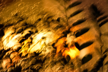 Fotografie mit dem Titel "Dancing Lights" von Jola, Original-Kunstwerk, Digitale Fotografie