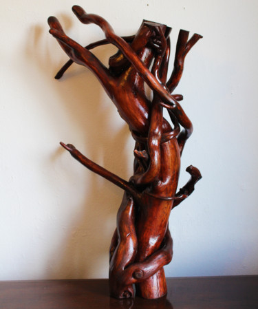 Sculpture titled "Bois tortueux" by Jonathan Pradillon, Original Artwork, Wood