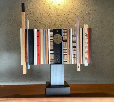 Sculpture titled "Serie “Superficies”…" by Jorge R. Barboza, Original Artwork, Wood