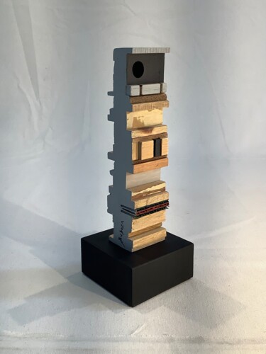 Scultura intitolato "Serie “Superficies”…" da Jorge R. Barboza, Opera d'arte originale, Legno