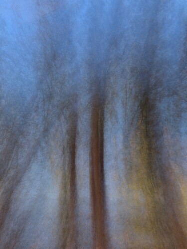 Photography titled "Tres Trees" by José Antonio Muñoz, Original Artwork, Light Painting