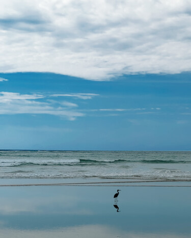 Fotografia intitolato "LANDED on PEACE" da Jose Grimm, Opera d'arte originale