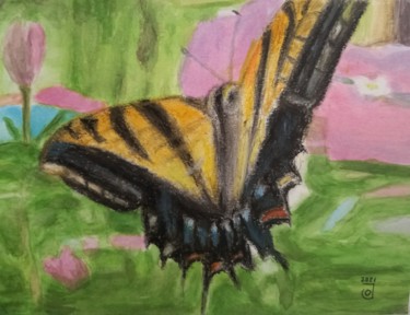 绘画 标题为“Papilio machaon Bra…” 由Jose Oña Jurado, 原创艺术品, 水彩