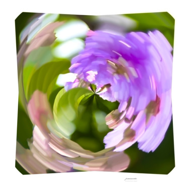 Фотография под названием "hipnose floral" - Jose Americo Jsilvares, Подлинное произведение искусства, Манипулированная фотог…