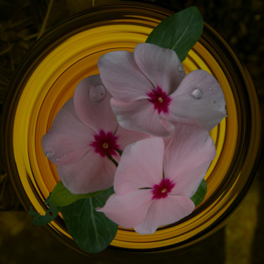 Photographie intitulée "Pot de fleurs" par Jose Americo Jsilvares, Œuvre d'art originale, Photographie manipulée