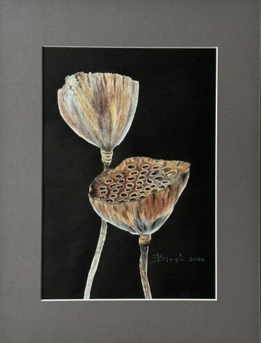 Schilderij getiteld "Dry lotuses on black" door Julia Birst, Origineel Kunstwerk, Aquarel