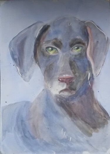 Painting titled "Royal Dog Shorthair…" by Julia Vedrina, Original Artwork, Watercolor