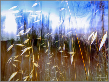 Photography titled ""Whispers of the Fi…" by Julian Garcia-Viso, Original Artwork, Non Manipulated Photography
