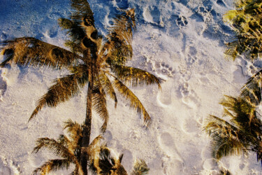 Photography titled "Coconut trees #2" by Juliana Vasquez, Original Artwork, Manipulated Photography
