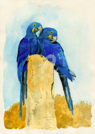 Pittura intitolato "Arara azul grande (…" da Julien Cachemaille, Opera d'arte originale, Acquarello