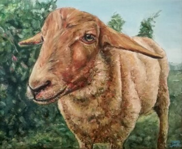 Malarstwo zatytułowany „Brown Sheep. Animal…” autorstwa Jura Kuba, Oryginalna praca, Olej Zamontowany na Drewniana rama noszy