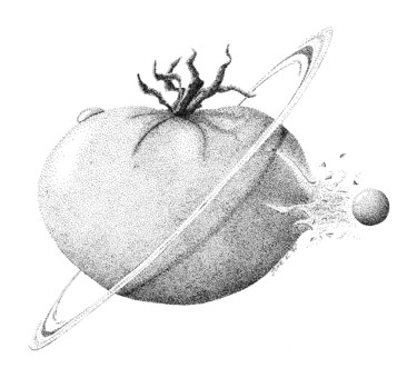 Σχέδιο με τίτλο "planet Tomato" από Jure Kralj, Αυθεντικά έργα τέχνης, Μελάνι