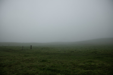 Fotografie mit dem Titel "Foggy field" von Jure Kralj, Original-Kunstwerk, Digitale Fotografie