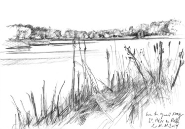 Dessin intitulée "Lac du grand Fay, S…" par Philippe Juttens, Œuvre d'art originale, Crayon