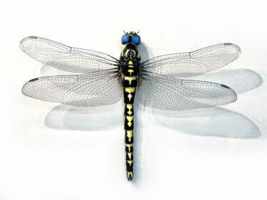 제목이 "Dragonfly"인 조형물 Ken Overman로, 원작, 플라스틱