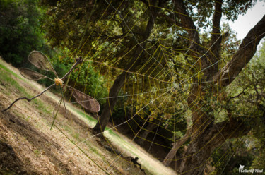 Escultura intitulada "La Libellule" por Kalizae, Obras de arte originais, Madeira