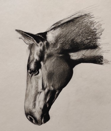 Desenho intitulada "Horse head charcoal…" por Kanat Mks, Obras de arte originais, Carvão