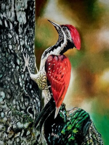 Painting titled "Scarlet Feathered V…" by Kapila Priyantha, Original Artwork, Acrylic