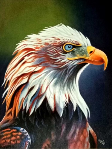 Malarstwo zatytułowany „Majestic Eagle” autorstwa Kapila Priyantha, Oryginalna praca, Akryl