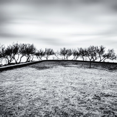 Fotografie getiteld "Group of trees over…" door Karim Carella, Origineel Kunstwerk, Digitale fotografie