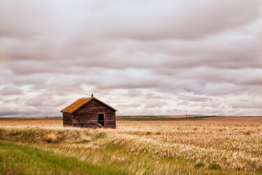 Fotografie getiteld "Old shack in the gr…" door Karim Carella, Origineel Kunstwerk, Digitale fotografie