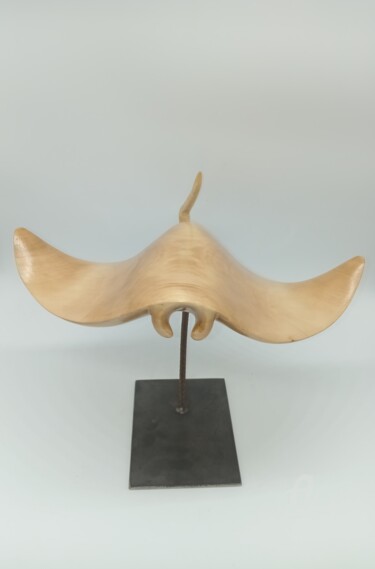 Sculptuur getiteld "Raie Manta" door Karine Verdier, Origineel Kunstwerk, Hout