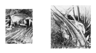 Rysunek zatytułowany „Couple de crustacés” autorstwa Karolus, Oryginalna praca, Węgiel drzewny