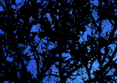 Digitale Kunst getiteld "tree in the sky" door Siham Kartobi, Origineel Kunstwerk, 2D Digital Work